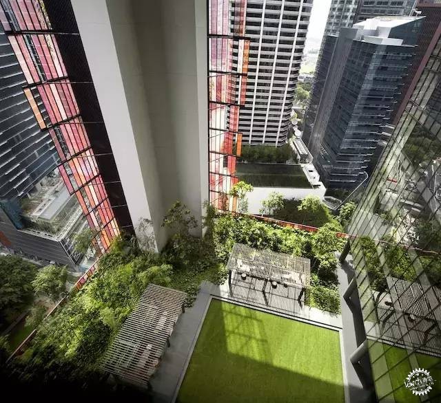 新加坡的生態(tài)建筑專業(yè)戶，又建了一個(gè)長滿綠植的酒店第13張圖片