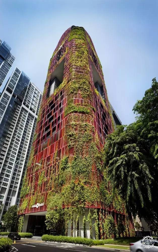 新加坡的生態(tài)建筑專業(yè)戶，又建了一個(gè)長滿綠植的酒店第7張圖片